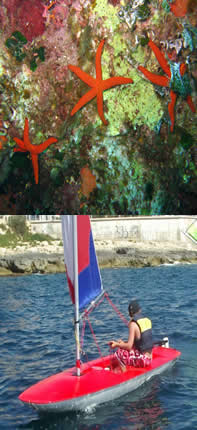 Escuela Eurolang Melbourne